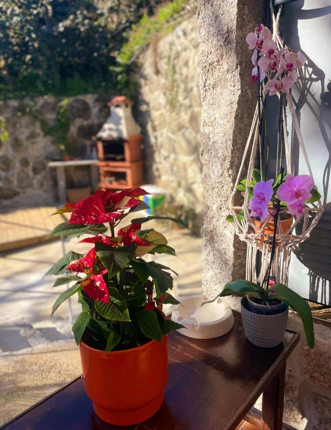 Casa Da Quinta Costa D'Alem Geres Villa Terras de Bouro Eksteriør bilde